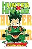 Hunter x Hunter, Vol. 1