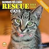 2025 Rescue Cats Monthly Wall Calendar by Bright Day, 12 x 12 Inch