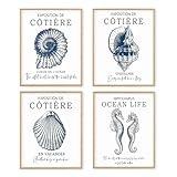 Boat Wades Blue Coastal Beach Seashell Wall Art Prints Set of 4, Ocean Beachy Room Decor, Conch Shell Sea Horse Marine Biology Posters Pictures Wall Decor for Bedroom Home Cabin, 8x10 Unframed