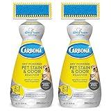 Carbona Oxy-Powered Pet Stain & Odor Remover w/ Active Foam Technology | 22 Fl Oz, 2 Pack