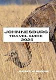 JOHANNESBURG TRAVEL GUIDE 2025