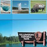 Scrapbook Customs 14252 Yellowstone National Park Wyoming 12 Inch x 12 Inch Scrapbook Paper - 1 Sheet
