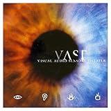 Visual Audio Sensory Theater
