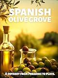 Spanish Olive Grove