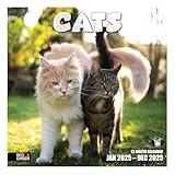 RED EMBER Cats 2025 Wall Calendar 12 Month | 12" x 24" Open | Thick & Sturdy Paper | Giftable | Calendar 2025