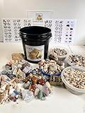 Generic Ultimate Mining Bucket/Gemstones/Crystals/Fossils/Seashells/Gifts for Boys and Girls/Unique Gifts