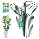 LKSSZS 12 Pack 24 inch Plant Support Stakes, Half-Round Metal Garden Flower Stakes, Large Peony Support Ring and Cage for Indoor and Outdoor Plants, Hydrangea, Tomato, Rose, Monstera with Plant Ties