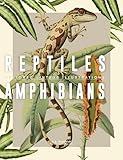 Reptiles and Amphibians : Restored Vintage Illustrations for Artists and Designers (Reference Realm)