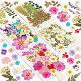 Dried Flowers, Resiners 100Pcs Pressed Flowers for Craft Purple Real Natural Dried Flowers Dry Leaves Kit for DIY Making Crafts Resin Soap Candle Scrapbook Supplies Card Making Jewelry