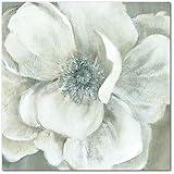 Courtside Market WEB-WW232-30x30 30 x 30 in. Opalescence II Gallery-Wrapped Canvas Wall Art