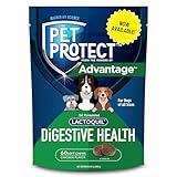 Pet Protect from The Makers of Advantage Vet-Formulated Dog Digestive Health Supplement | 60 Chews