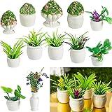 Chuangdi 12 Pieces Miniature Dollhouse Plant Flowers Mini Potted Plant Artificial Tiny Greenery Ornament Miniature Hanging Potted Faux Flower Model Dollhouse Decoration, 6 Types