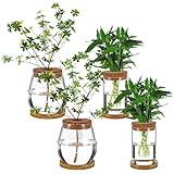 4 Pcs Plants Propagation Stations Vases Glass Planters with Wooden Lid and Bamboo Stand for Hydroponic Plants Gardening Gifts for Women Mom Home Office Tabletop Decoration