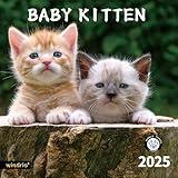 2025 Wall Calendar,Calendar 2025, November 2024 - December 2025, Wall Calendar Cat Kitten, 12" x 24" Opened,Full Page Months Thick & Sturdy Paper for Calendar Organizing & Planning