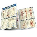 Anatomy 2 QuickStudy Laminated Reference Guide (QuickStudy Academic)