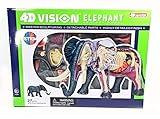 4D Vision Elephant Anatomy Model - Medical Quality Collectible with Fully Detachable Organs and Body Parts