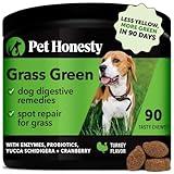 Pet Honesty Grass Green - Pee Grass Spot Saver Caused by Dog Urine, Gut Health Probiotics, Dog Urine Neutralizer for Lawn, Grass Burn Spot Chews, Cranberry, Apple Cider Vinegar, Dog Rock (Turkey 90ct)