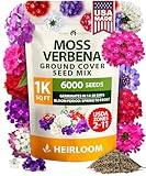 HOME GROWN Verbena Moss Seeds - 6000+ Perennial Flower Seeds for Ground Cover - Heat-Tolerant Plant Seed for Outdoor Gardening, Walkways & Erosion Control - Attracts Pollinators (Verbena Tenuisecta)