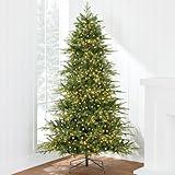 Best Choice Products Full Aspen Christmas Tree, 9ft Pre-lit Noble Fir w/ 2,000 Super Bright Twinkling Micro LED Lights, 2-in-1 White & Multicolor
