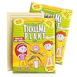 TickleMe Plant Seeds Pack (2) – Fun Party Favor, Leaves Fold When Touched! Easy to Grow Indoors, Can Flower, Includes 10 Activities, Reopens in Minutes – Perfect Stocking Stuffer!