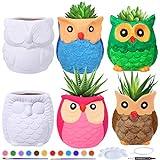 6 Sets DIY Ceramic Owl Succulent Pots Figurines Paint Craft Kit Unpainted Ceramic Bisque Paintable Owl Ceramic Flowerpots with Drainage Hole Ready to Paint for Kids Classroom Craft Project Acticity