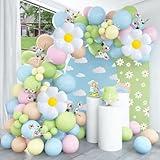 Pateeha Baby in Bloom Balloon Arch Kit 12ft Daisy Flower Balloon Garland Daisy Foil Balloons Pastel Balloons for Easter Spring Birthday Baby Shower Decorations
