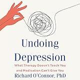 Undoing Depression: What Therapy Doesn't Teach You and Medication Can't Give You