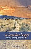 Wanderings of an Ordinary Pilgrim (Catholic poetry series)