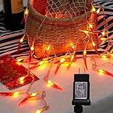 Dreamworth Plug in Red Chili String Lights, 33ft 100 LED Chili String Lights 8 Modes Fairy Lights for Wedding, Chinese New Year,Spring Festival,Party Decoration,Christmas