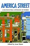 America Street: A Multicultural Anthology of Stories