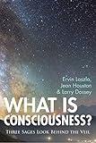 What is Consciousness?: Three Sages Look Behind the Veil (A New Paradigm Book)