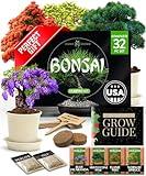 Bonsai Tree Kit - Gifts for Men & Women - Grow 4 Bonsai Trees - Unique Gardening Crafts for Adults, DIY Hobbies for Plant Lovers & Gardeners - Unusual Christmas Gift Ideas for Mom & Dad