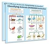 ZOCO – Animal Kingdom Classification Poster (2-Pack) – Biology & Zoology Chart of Vertebrates and Invertebrates – Laminated 17x22 in. – Middle & High School Science Decor