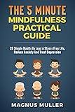 The 5 Minute Mindfulness Practical Guide: 20 Simple Habits To Lead A Stress Free Life, Reduce Anxiety And Treat Depression (The 5 Minute Self Help Series Book 3)
