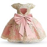 HNXDYY Baby Girl Tutu Dress Princess Lace Embroidery Wedding Party Gown #2006-C Pink Size(80) 6-12 Months