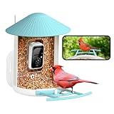 NETVUE by Birdfy Smart Bird Feeder with Camera, Bird Watching Camera, Auto Capture Bird Videos & Motion Detection, Wireless Camera Ideal Present for Bird Lover