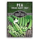 Survival Garden Seeds - Sugar Daddy Snap Pea Seed for Planting - Packet with Instructions to Plant and Grow in Delicious Pea Pods Your Home Vegetable Garden - Non-GMO Heirloom Variety - Garden Peas