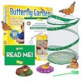 Insect Lore Butterfly Garden Kit, Painted Lady Butterfly Kit with Voucher for Live Caterpillars, Butterfly Habitat, STEM Journal & More