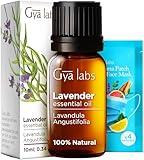 Gya Labs Lavender Essential Oil for Diffuser - 100% Natural Lavender Oil for Skin, Lavender Oil Essential Oil for Hair, Massage & Candle Making - 100% Pure Aromatherapy Oils (0.34 fl oz)