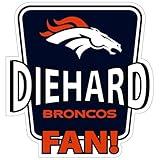 Siskiyou Sports NFL Denver Broncos Die-Hard Fan Auto Decal, Team Colors, One Size