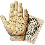 Palmistry Hand Model Resin Sculpture Fortune Telling Palm Reading with Booklet