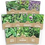 Organic Herb Seeds Variety Pack - 10 Individual Packs - 2025 Season - Basil, Cilantro, Dill, Thyme, Parsley and More! for Indoor & Outdoor Planting (Non-GMO, Certified Organic)