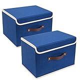 TYEERS Collapsible Storage Boxes, Washable, Fabric Storage Bins with Lids for Home, Bedroom, Closet, Office, 14.9x9.8x9.8 inches, 2 Pack, Classic Blue