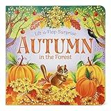 Autumn In The Forest Deluxe Lift-a-Flap & Pop-Up Seasons Board Book for Fall (Lift-a-flap Surprise)