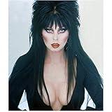Cassandra Peterson is Elvira Looking on with a Serious Face 8 x 10 Inch Photo