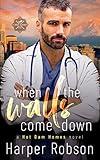 When The Walls Come Down: Hot Dam Homes Book Two