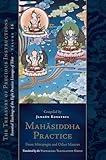 Mahasiddha Practice: From Mitrayogin and Other Masters, Volume 16 (The Treasury of Precious Instructions)