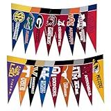 Rico Industries NCAA SEC Complete 4" x 9" Felt Mini Pennant League Set (Includes ALL Teams)