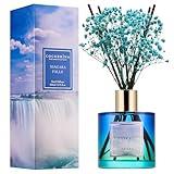 COCORRÍNA Reed Diffuser - Niagara Falls 6.7 Fl.oz Reed Diffuser Set with 8 Sticks & Preserved Baby's Breath, Reed Diffuser for Home Bathroom Shelf Decor (Vista Tales Collection)