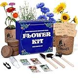 Sproutix Indoor Daisy Garden Starter Kit, 4 Flower Seeds Growing into Shasta Daisy, Cornflower, Sunflower, Zinnia, Including Complete Gardening Tools, Christmas Gifts for Women Men & Beginners